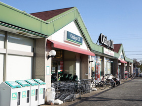 Supermarket. 2500m to Odakyu OX (super)