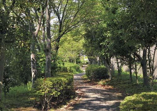 Streets around. Koyano of green road to (site south) 50m