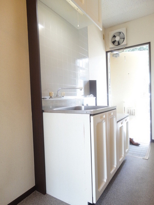 Kitchen. Is a convenient two-burner stove installation Allowed kitchen towards the self-catering school. 