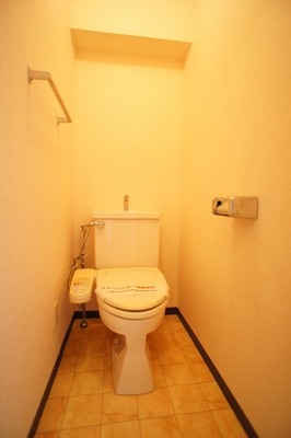 Toilet. Shower toilet that because every day, comfortable!