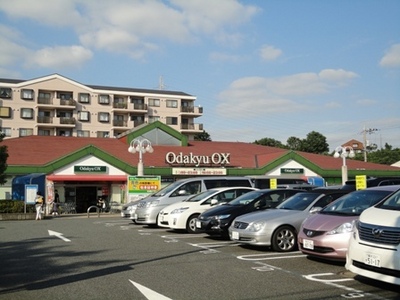 Supermarket. 500m to Odakyu OX (super)