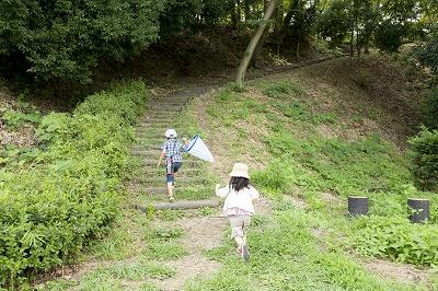 Other. Lush environment is attractive. (How is it, such as walking the road of Yokoyama Tama. )