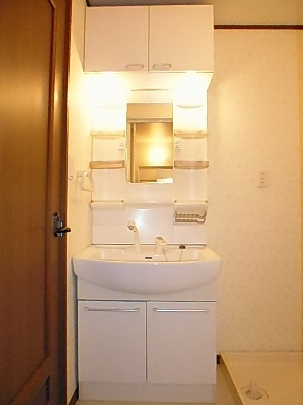 Washroom. Shampoo dresser