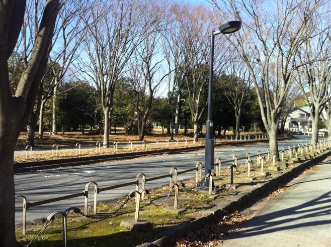Streets around. Kamiaso green open space (about 150m)