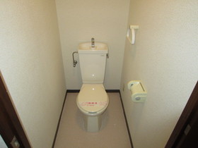 Toilet. Toilet