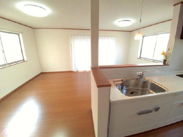 Living. The view from the kitchen