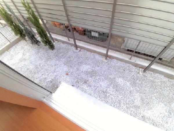 Garden. There garden