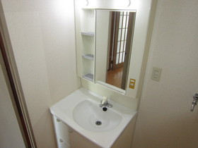 Washroom. Large independent wash basin