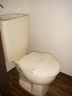 Toilet