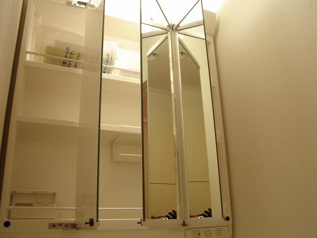 Other Equipment. It is changing the angle of the mirror, Back it has become all storage. You can clean house the clutter tend accessories