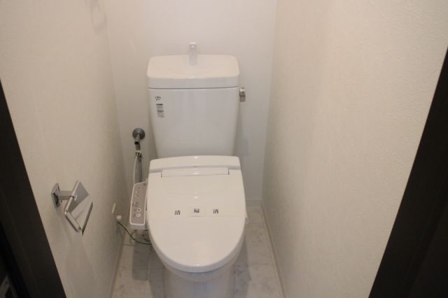 Toilet. Hot water is cleaned with a toilet seat