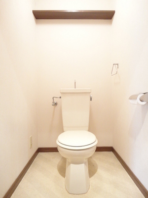 Toilet. Loose wide toilet space, There is also a top storage!