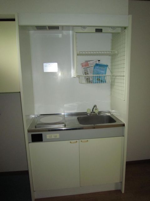 Kitchen. IH heater 1-neck with