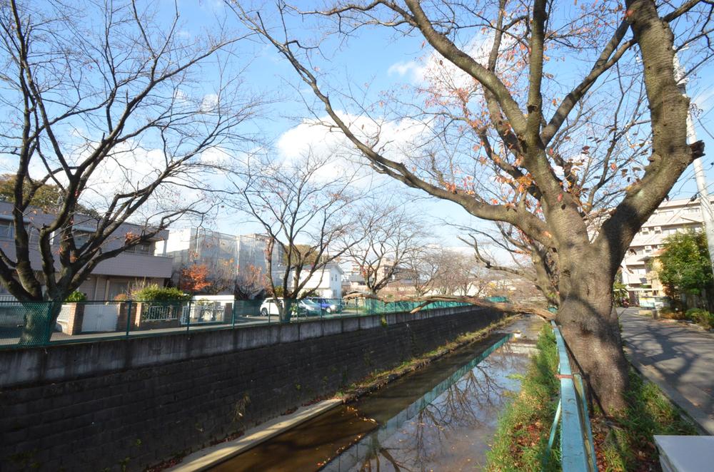 Other local. It is a nice subdivision, which is feeling the four seasons from the house ☆