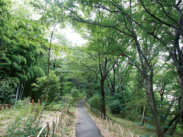 Surrounding environment. Kakio green space (about 530m ・ Spread Kawasaki save trees, such as a 7-minute walk) cherry and cedar "Kakio green space".