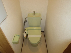 Toilet. Cleaning function with toilet seat