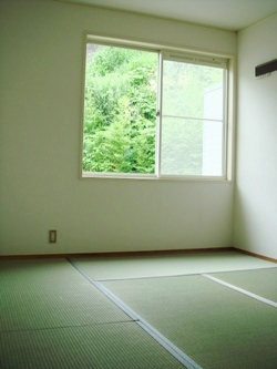 Living and room. Japanese style room