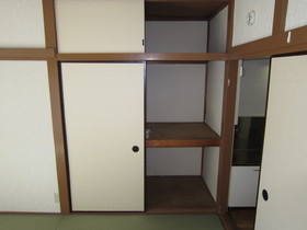 Living and room. Closet with upper closet