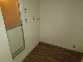 Living and room. Washing machine in the room
