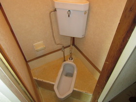 Toilet. Japanese-style toilet