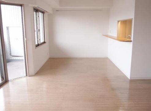 Kitchen. Sunny living