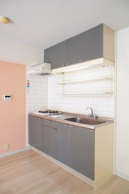 Kitchen. Clean kitchen gray and pink contrast