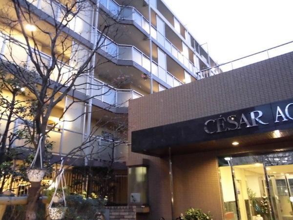 Local appearance photo