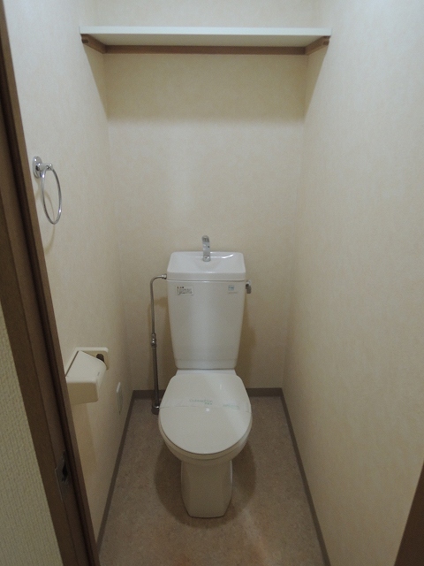 Toilet. Toilet separate type