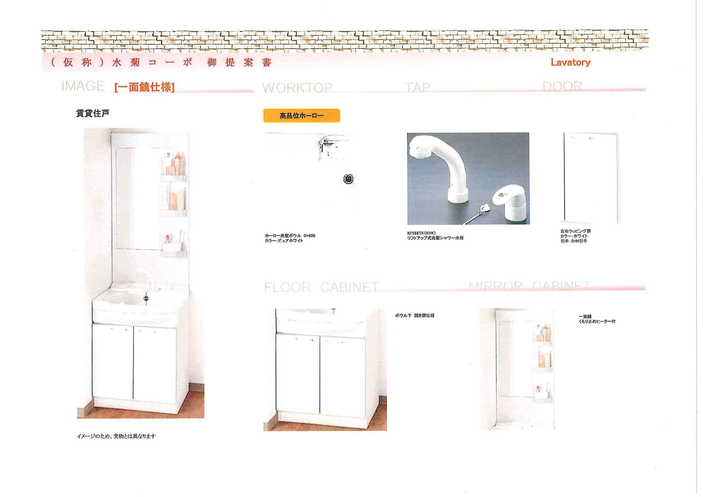 Washroom. Shampoo dresser