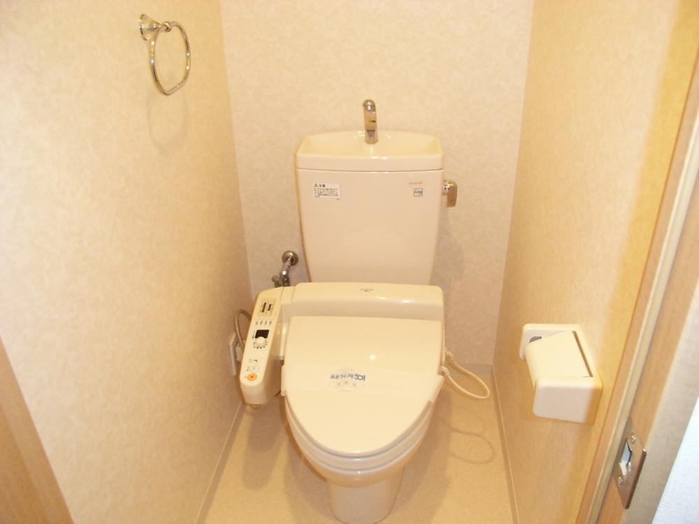 Toilet. Toilet with hot cleaning function