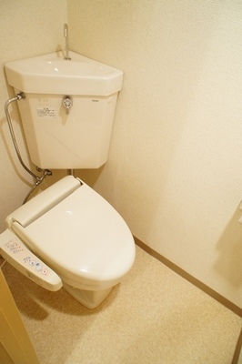 Toilet. Bidet with toilet