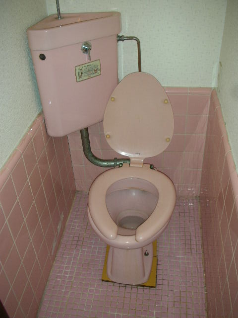 Toilet