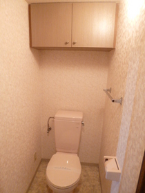 Toilet. It is convenient because there is a shelf at the top. 