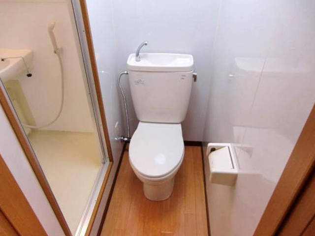 Toilet. Another room is a picture