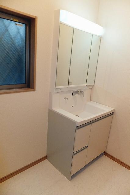 Wash basin, toilet. Vanity shower faucet (December 29, 2013) Shooting