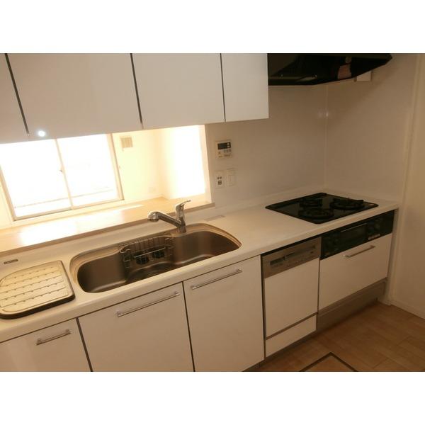 Kitchen. With disposer