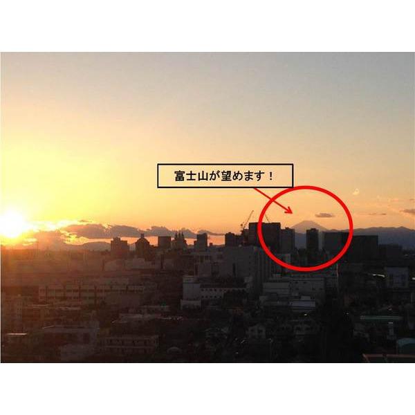 View photos from the dwelling unit. View of Mount Fuji