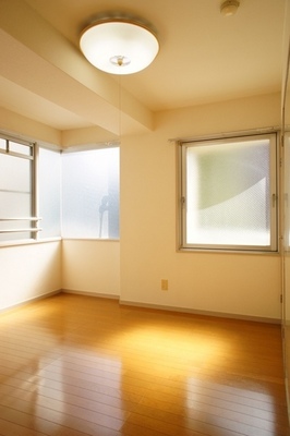 Other room space. 4,5 Pledge Western-style is wide window attractive! Southeast facing corner room.