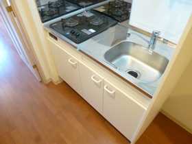 Kitchen. It is with a gas stove in a two-necked