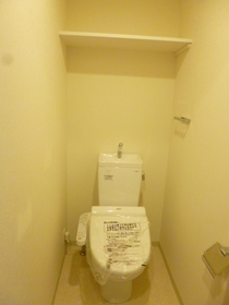 Toilet. This is useful when there is a shelf at the top