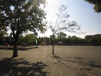 park. 800m until Wataridashin the town park (park)