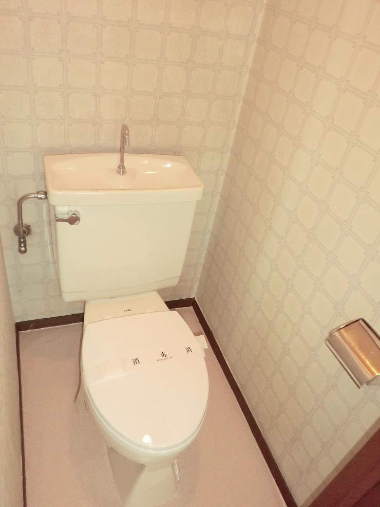 Toilet. Easy-to-use toilet in the space of a spread