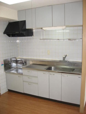 Kitchen. Gas stove rich installation Allowed storage