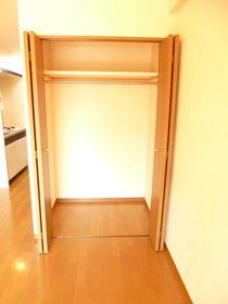 Other. There is also a perfectly closet