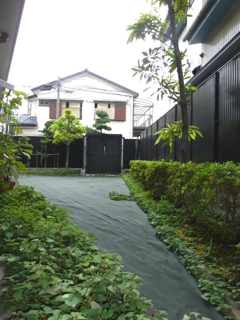 Garden. Local (11 May 2013) Shooting