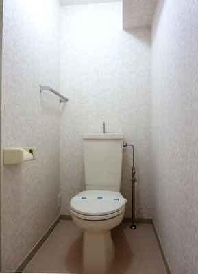 Toilet. Since the outlet is located bidet can also be mounted. 