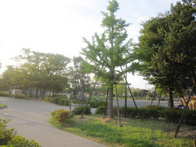 park. 72m to Kawasaki Fujimi Park (park)