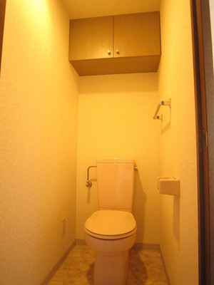 Toilet. It is a photograph of the same type of room.