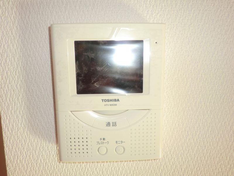 Security equipment. Intercom with color monitor