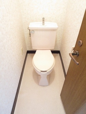 Toilet. Toilet with cleanliness